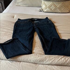 American Eagle Outfitters Dark Indigo Straight Leg Jeans